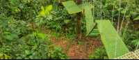        senderos aerios canopy tour bridges 
  - Costa Rica