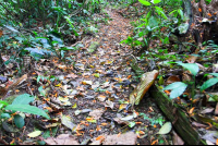        Pozo Azul Trail To The Lodge
  - Costa Rica