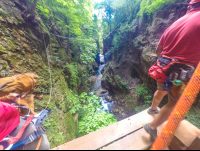        Canyon Narrowest Stretch View From Swinging Platform White River Canyon Zip Line Rincon De La Vieja
  - Costa Rica