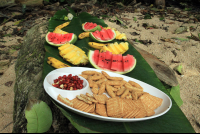        caribbean adventure snorkeling dolphin watching lunch 
  - Costa Rica