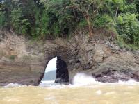        ballena aventura tour ventana 
  - Costa Rica