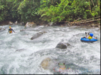        Guide Waiting To Receive A Kid In The Rapids Blue River Tubing Rincon De La Vieja
  - Costa Rica