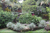        gardens at entredosaguas 
  - Costa Rica
