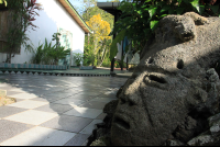        casa verde mask 
  - Costa Rica