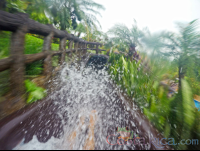        A Person Going Down The Waterslide Of Los Lagos Hotel Resort And Spa
  - Costa Rica