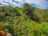        Forest View On A Zipline At The White River Canyon Zip Line Rincon De La Vieja
  - Costa Rica