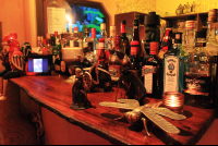        exotica bar 
  - Costa Rica