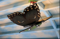       morphos chandelier 
  - Costa Rica