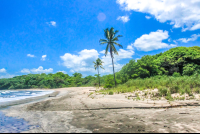        Palms On Pelada
  - Costa Rica
