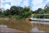        crocodile safari tour riverboat 
  - Costa Rica