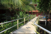        hotel bejuco path 
  - Costa Rica