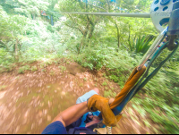       On A Cable From Land To The Canyon Entrance At The White River Canyon Zip Line Rincon De La Vieja
  - Costa Rica