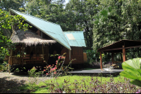        tree house lodge beach house 
  - Costa Rica