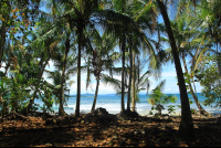        gandoca manzanillo wildlife refuge coastal forest 
  - Costa Rica