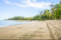        Tamales Beach Stretch
  - Costa Rica