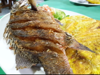        Whole Fish Lateral View=At Perla Del Sur Restaurant
  - Costa Rica