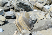        Stone Layers On Hike Sirena To La Leona Ranger Station
  - Costa Rica
