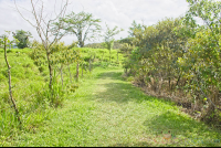        green grassed trail at  eruption site lookout point
  - Costa Rica