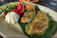        amimodo citrus snapper 
  - Costa Rica