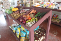        produce shelves samaraorganics 
  - Costa Rica