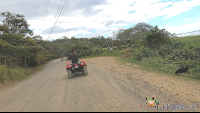        atv nosara tour coastal dirt main road
  - Costa Rica