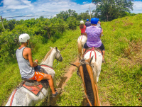        Hill Top Horseback Riding Rincon De La Vieja
  - Costa Rica