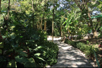        finca valverde path 
  - Costa Rica
