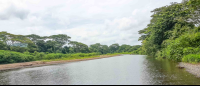        Ario River
  - Costa Rica