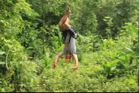       titi canopy tour tarzan swing 
  - Costa Rica