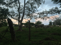        driving to tierra y fuego 
  - Costa Rica