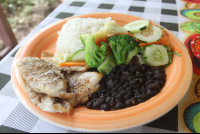        fish casado rosis soda tica 
  - Costa Rica