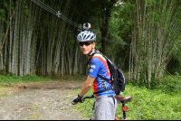        bamboo forest moutain bike tour forest 
  - Costa Rica
