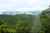        superman de osa view 
  - Costa Rica