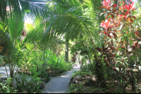        Hotel Celaje Trails
  - Costa Rica
