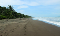        miss junies beach 
  - Costa Rica