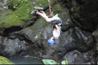        adr tour tarzan swing 
  - Costa Rica