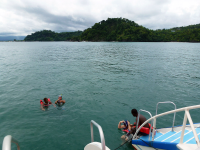        iguana catamaran tour snorkeling 
  - Costa Rica