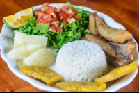        Tilapia Filet With Patacones Boild Cassava Rice And Salad Lunch Waterfall Tour Manuel Antonio
  - Costa Rica