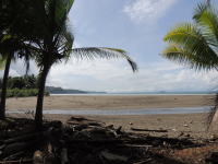        uvita beach attraction low tide 
  - Costa Rica