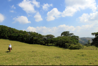        helaconia ranch pasture 
  - Costa Rica