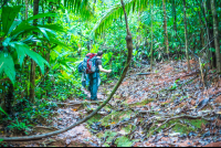        Hikers On The Los Patos Trail
  - Costa Rica
