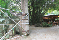        koji's front sign 
  - Costa Rica