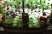        hibiscus tea water waiting casa spa hotel punta islita 
  - Costa Rica