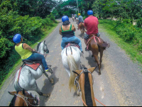        Short Street Stretch To Reach The Dirt Trail Horseback Riding Rincon De La Vieja
  - Costa Rica
