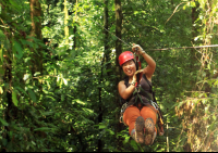        flight of the toucan tree climb combo tour landing 
  - Costa Rica