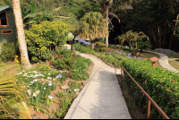        cloud forest lodge path 
  - Costa Rica