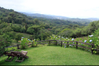        rancho makena views 
  - Costa Rica