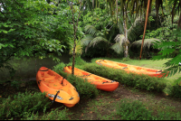        evergreen lodge kayaks 
  - Costa Rica