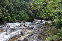        carlos lodge 
  - Costa Rica