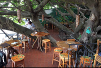        treehouse dining room 
  - Costa Rica